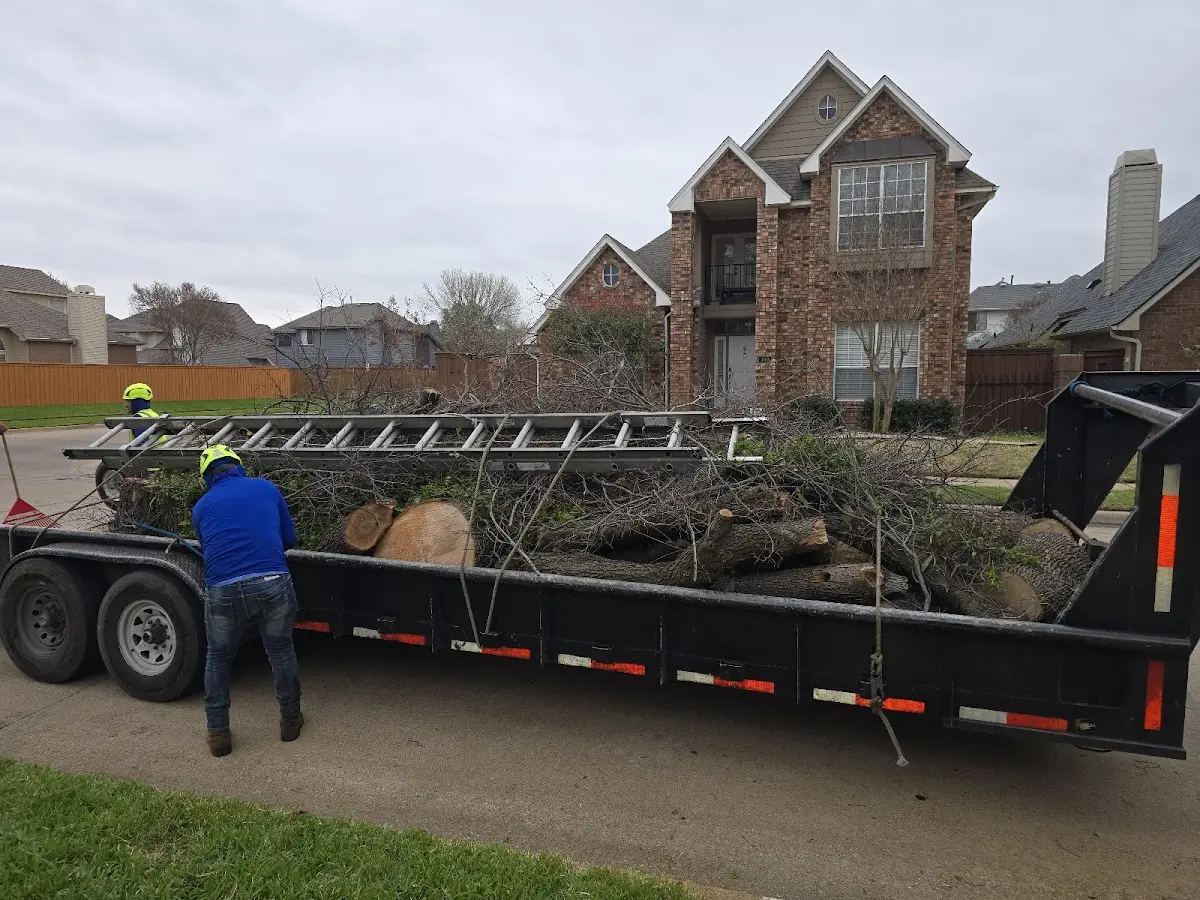 Expert Crown Reduction with proper safety equipment in Ludington